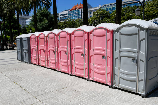 Best Portable Restroom Maintenance and Cleaning  in Penhook, VA